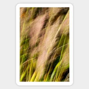 Pampas Grass Abstract Blur Sticker